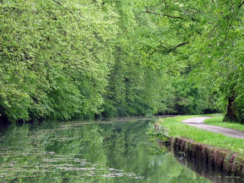 Palette de vert Canal de Garonne