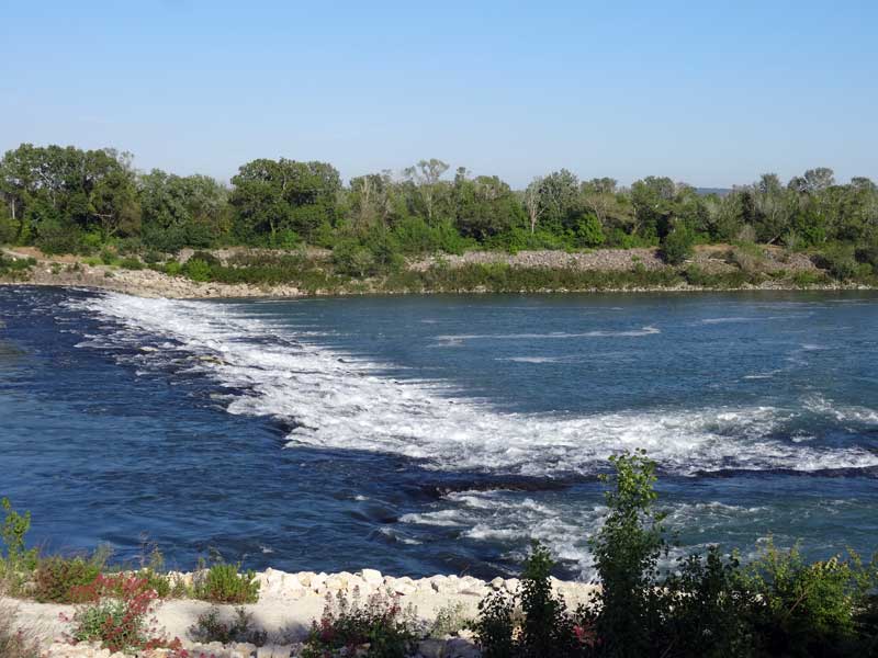Rhone sauvage