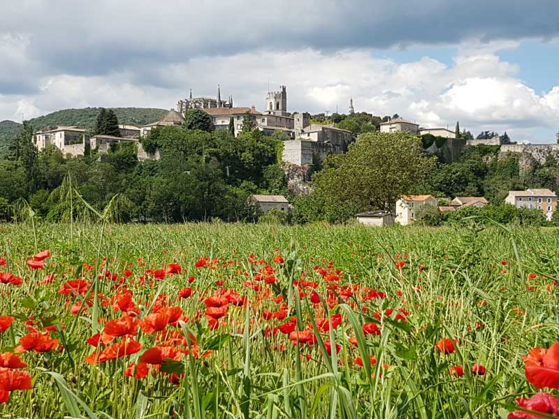 Viviers