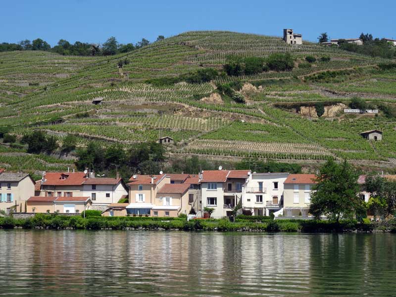 Condrieu