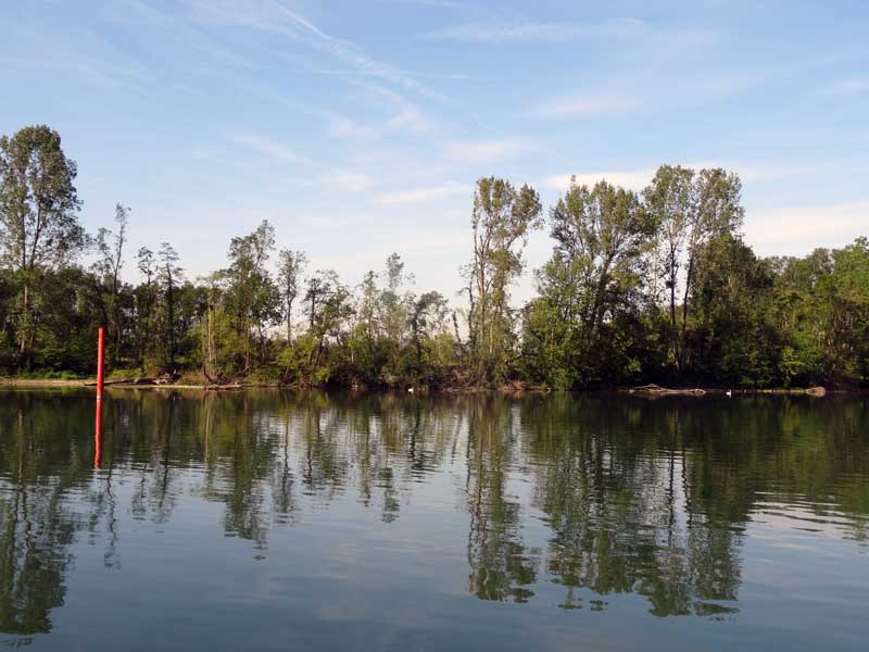 La Saône