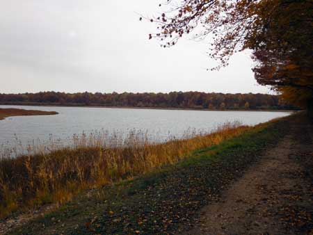 Etang de Lelu