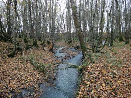 Rigole de Bouza