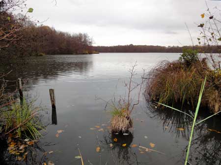 Etang du Chesnoy