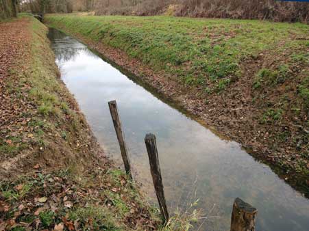 Sente de chevreuil