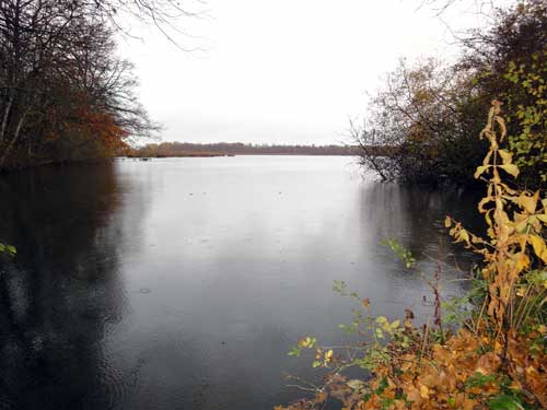 Etang des Boudinières 