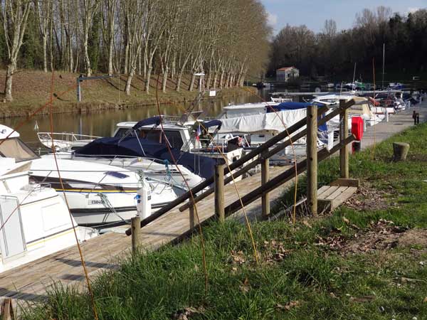 Osier au port de Castets