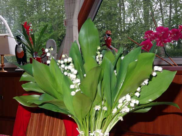 Brin de muguet au port de Castets