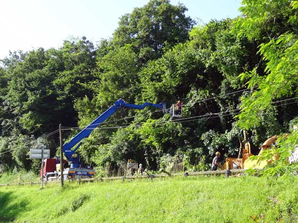 Elagage à Castets