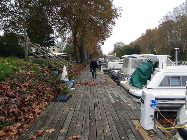 Souffleur de feuilles