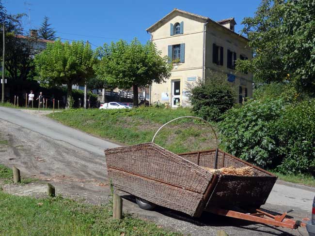 Panier d'osier