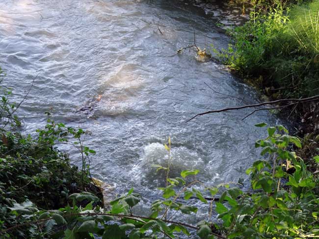 Fuite d'eau