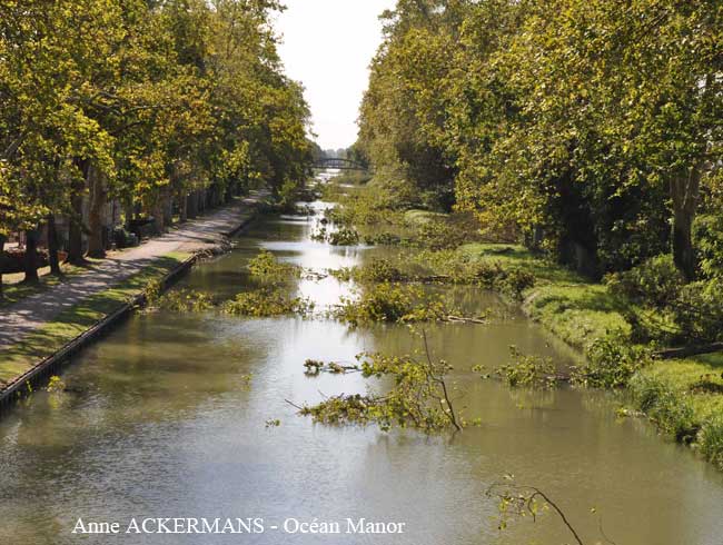 Canal de Garonne