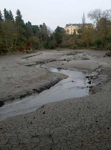 Pièce d'eau du parc de Maulevrier