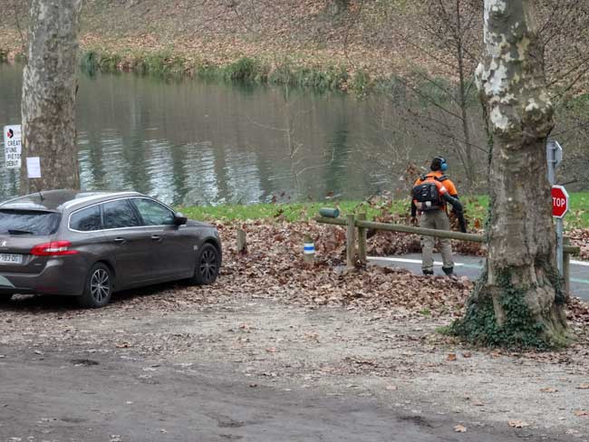 C'est l'heure de soufller les feuilles
