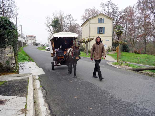 Les têtes de mule