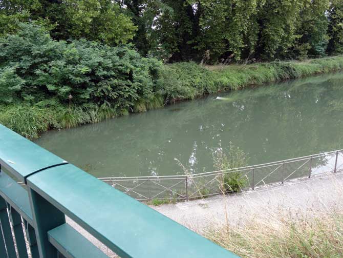 Une voiture dans le canal