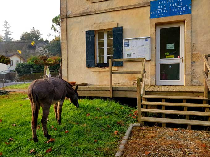 Tonte écologique