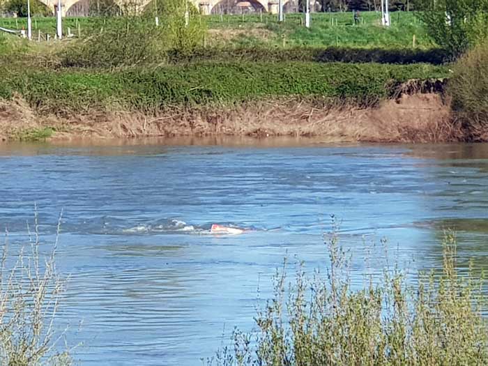 Balise en rive gauche Garonne