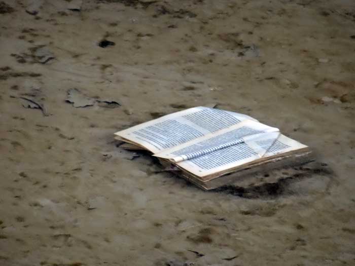 Coin lecture Pont canal d'Agen