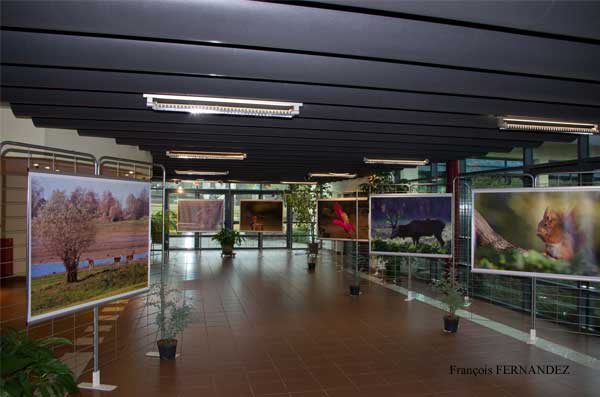 Expo Photo Faune Faure  Ouzouer-sur-Trézée Photo françois Fernandez
