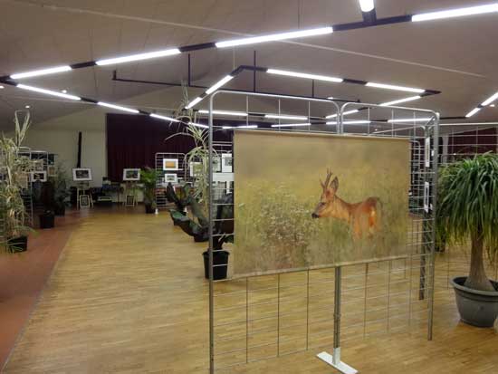 Expo Photo Faune Faure  Ouzouer-sur-Trézée