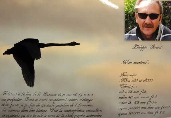 Expo Photo Faune Faure  Ouzouer-sur-Trézée
