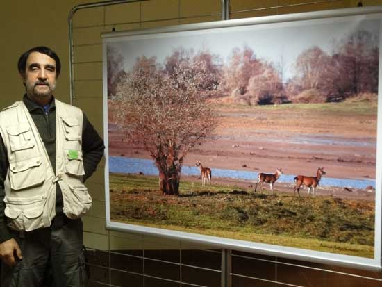 Expo Photo Faune Faure  Ouzouer-sur-Trézée
