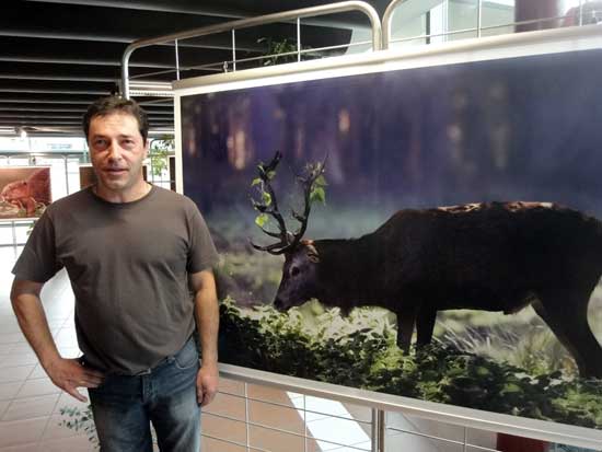 Expo Photo Faune Faure  Ouzouer-sur-Trézée