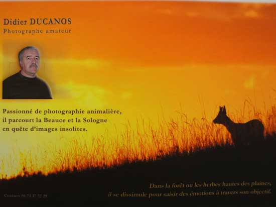 Expo Photo Faune Faure  Ouzouer-sur-Trézée