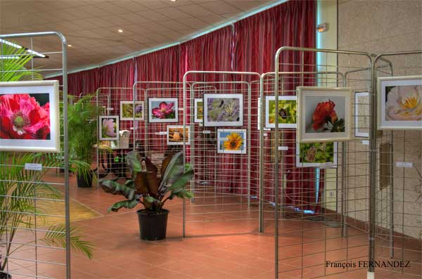 Expo Photo Faune Faure  Ouzouer-sur-Trézée Photo françois Fernandez