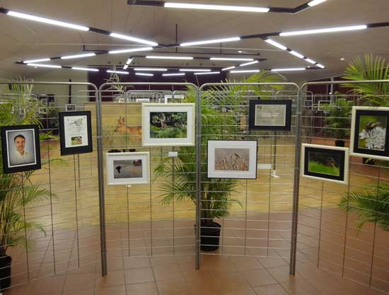 Expo Photo Faune Faure  Ouzouer-sur-Trézée