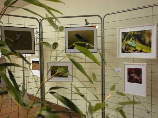 Expo Photo Faune Faure  Ouzouer-sur-Trézée