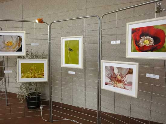 Expo Photo Faune Faure  Ouzouer-sur-Trézée
