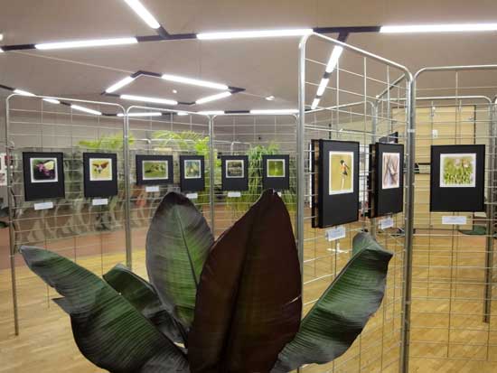 Expo Photo Faune Faure  Ouzouer-sur-Trézée