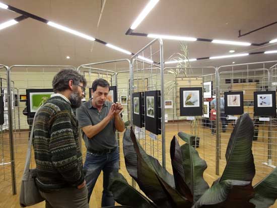 Expo Photo Faune Faure  Ouzouer-sur-Trézée