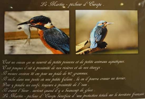 Expo Photo Faune Faure  Ouzouer-sur-Trézée