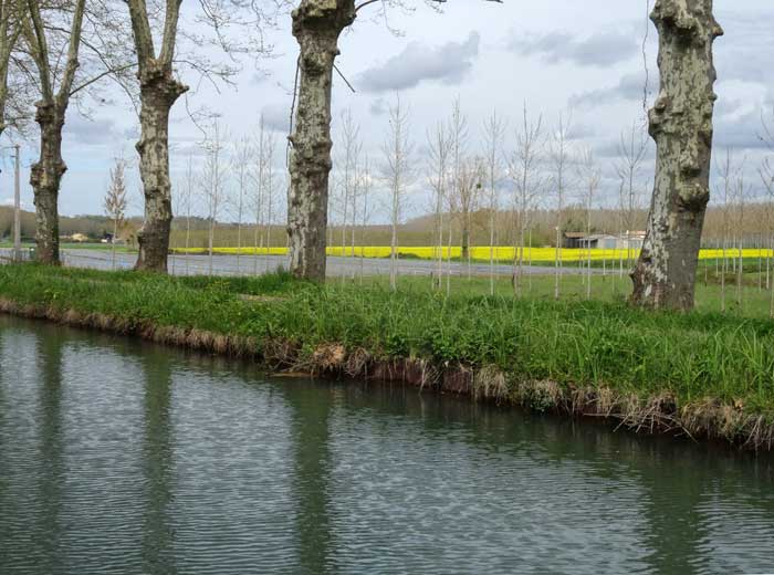 Canal de Garonne