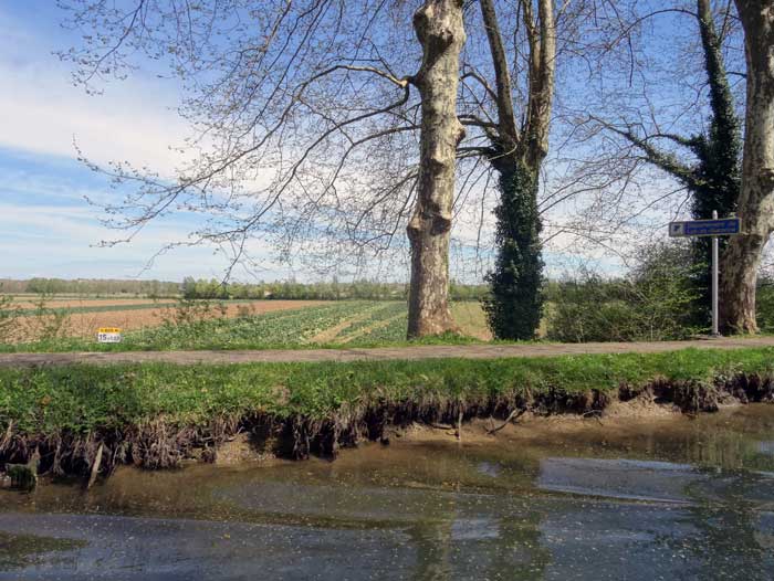 Bief de L'auriole