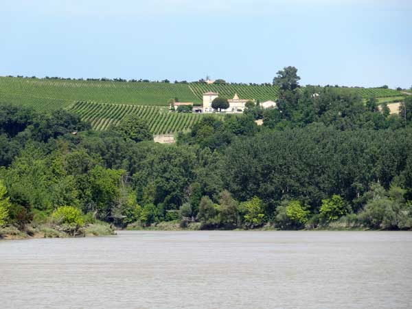 Vignoble d'Aquitaine
