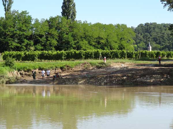 Vignoble Bordelais