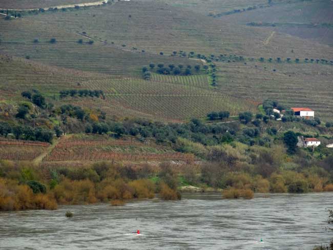 Le Douro