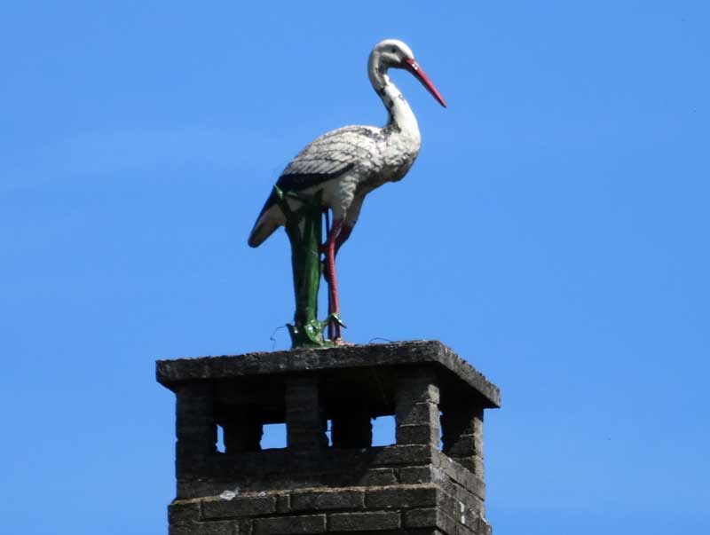 Cigogne Canal de Bourgogne