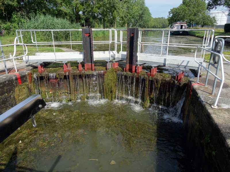 Algues sur le canal de Bourgogne