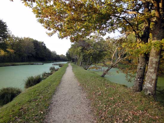 Canal d'Orléans