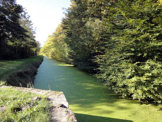 Rigole de Courpalet