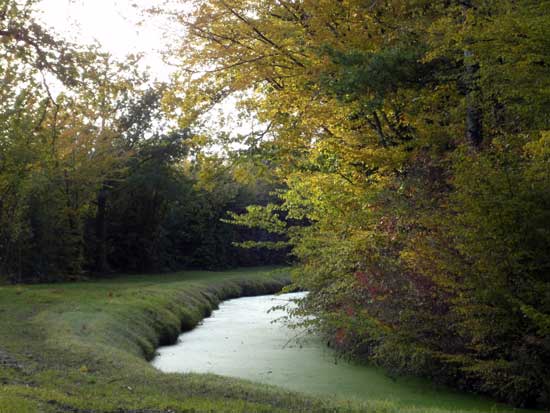 Rigole de Courpalet