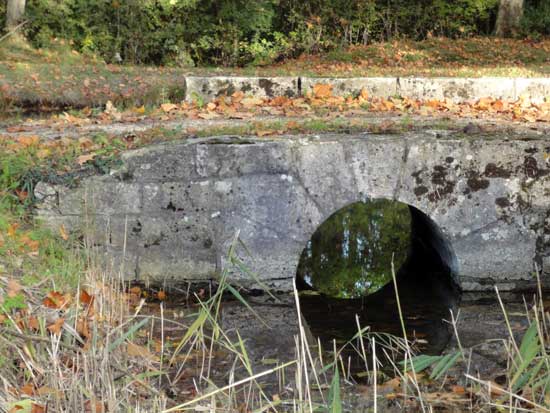 Bief de partage - Canal d'Orléans