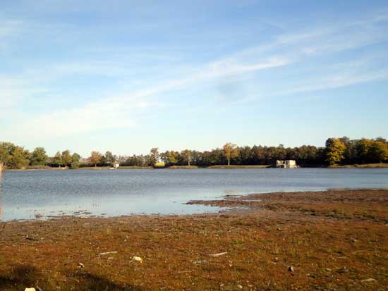 Etang de La Noue - Canal d'Orléans