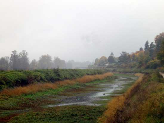 canal d'Orleans